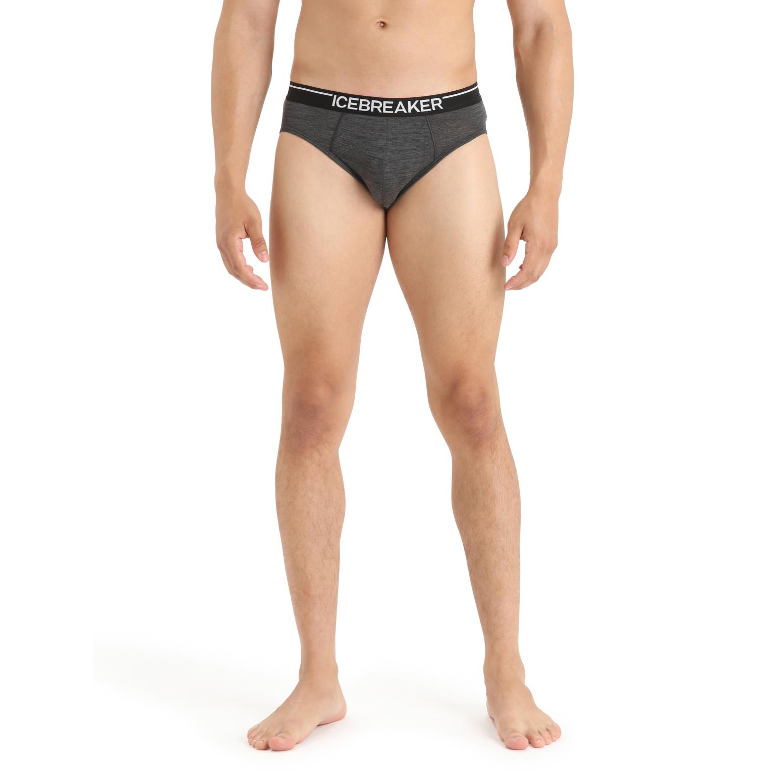 Icebreaker Mens Anatomica Briefs